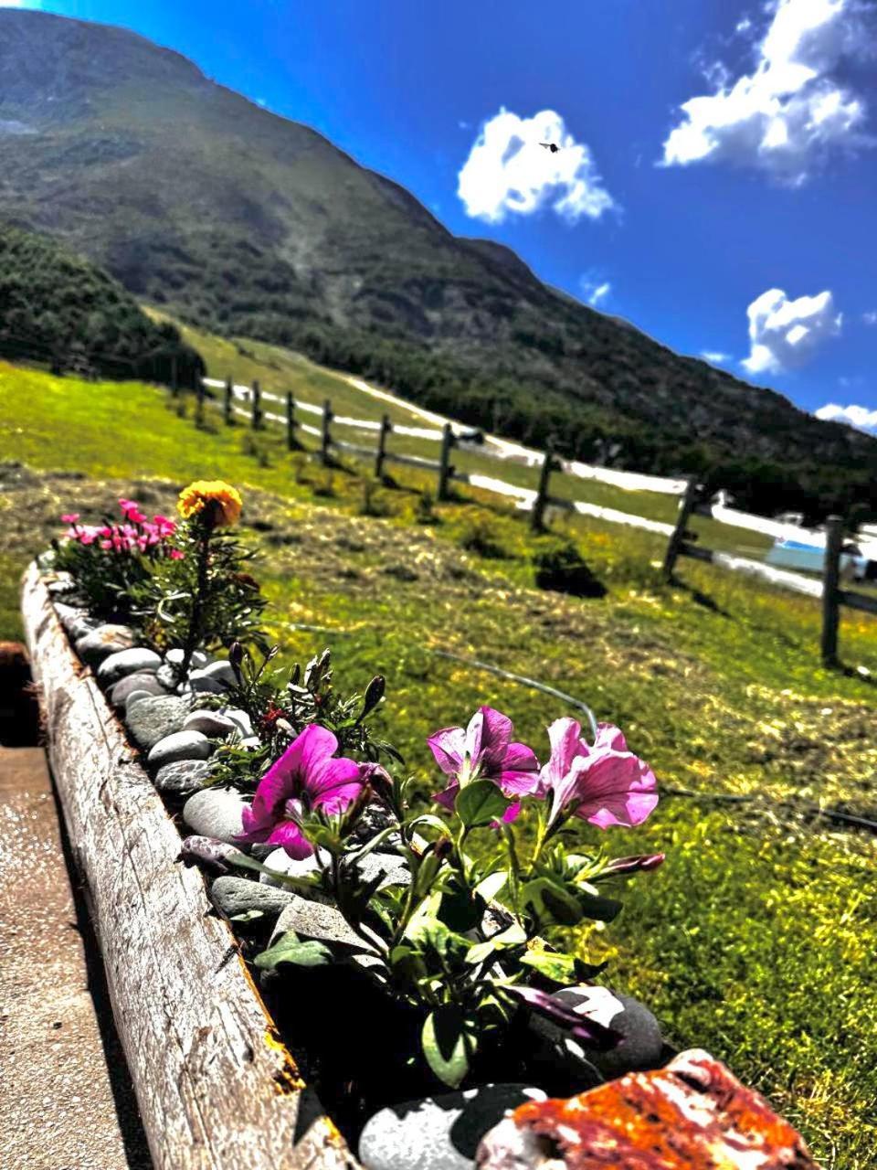 Mountain House Savin Kuk Villa Žabljak Kültér fotó