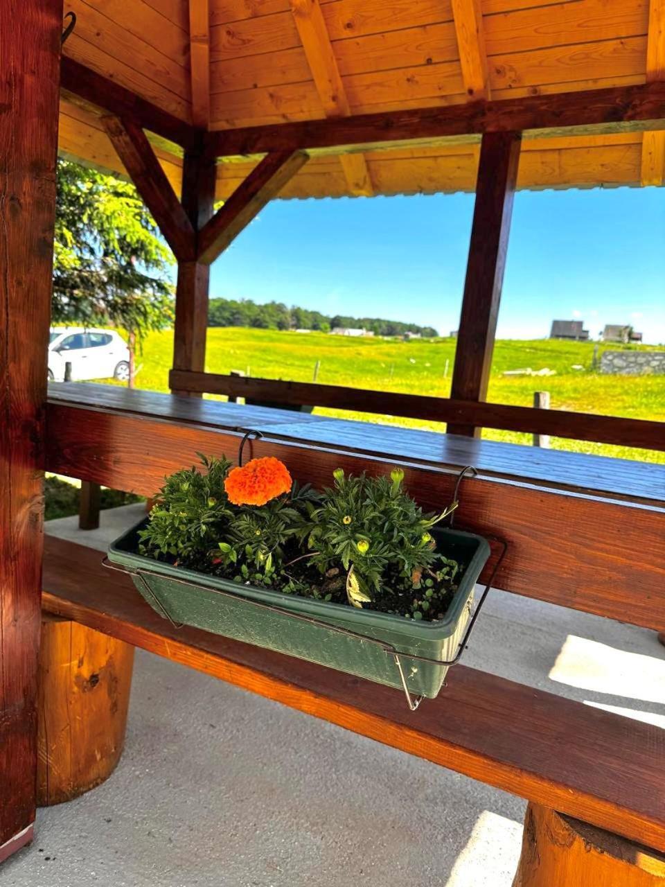Mountain House Savin Kuk Villa Žabljak Kültér fotó